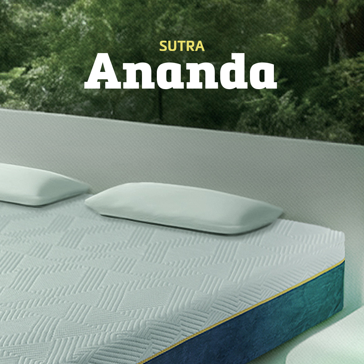 SUTRA - Ananda